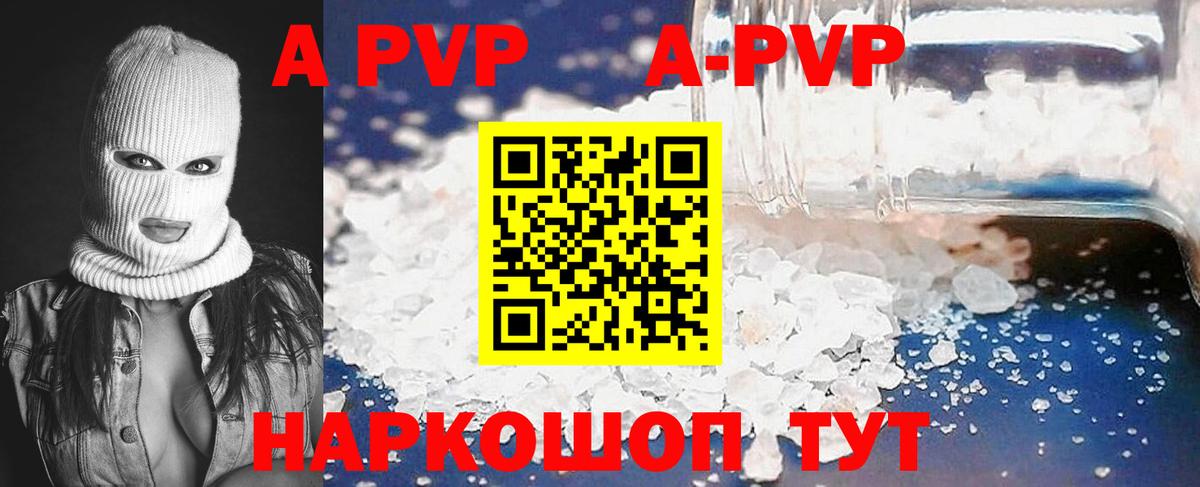 Alfa_PVP СК КРИС Ачхой-Мартан