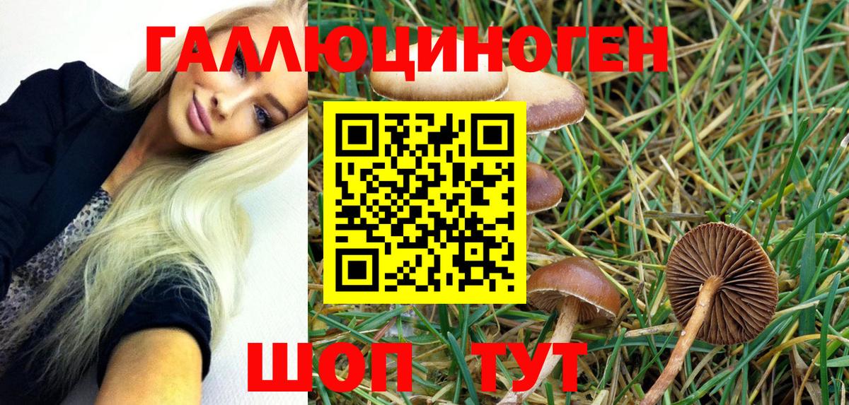 Ачхой-Мартан  Псилоцибиновые грибы Magic Shrooms  Вход с VPN 