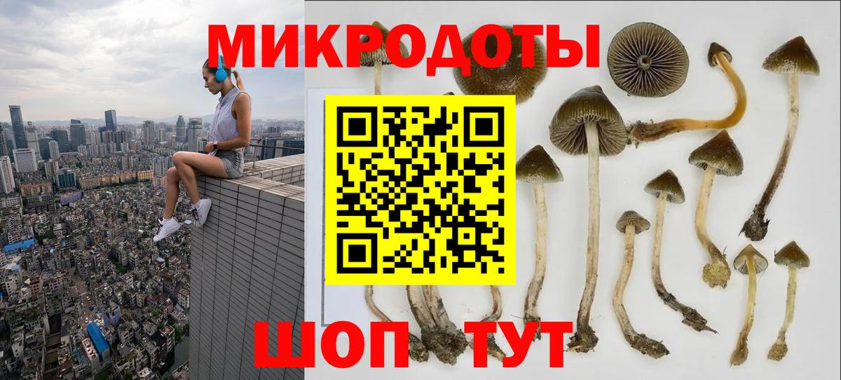 Псилоцибиновые грибы мицелий Ачхой-Мартан