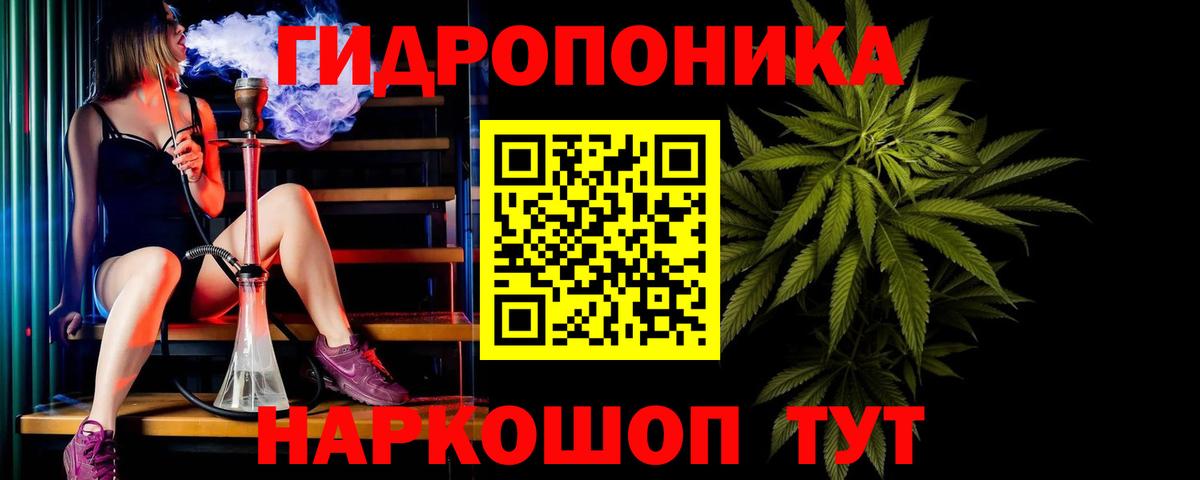 Конопля план Ачхой-Мартан
